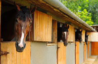 free Winterbourne Abbas stable construction quotes